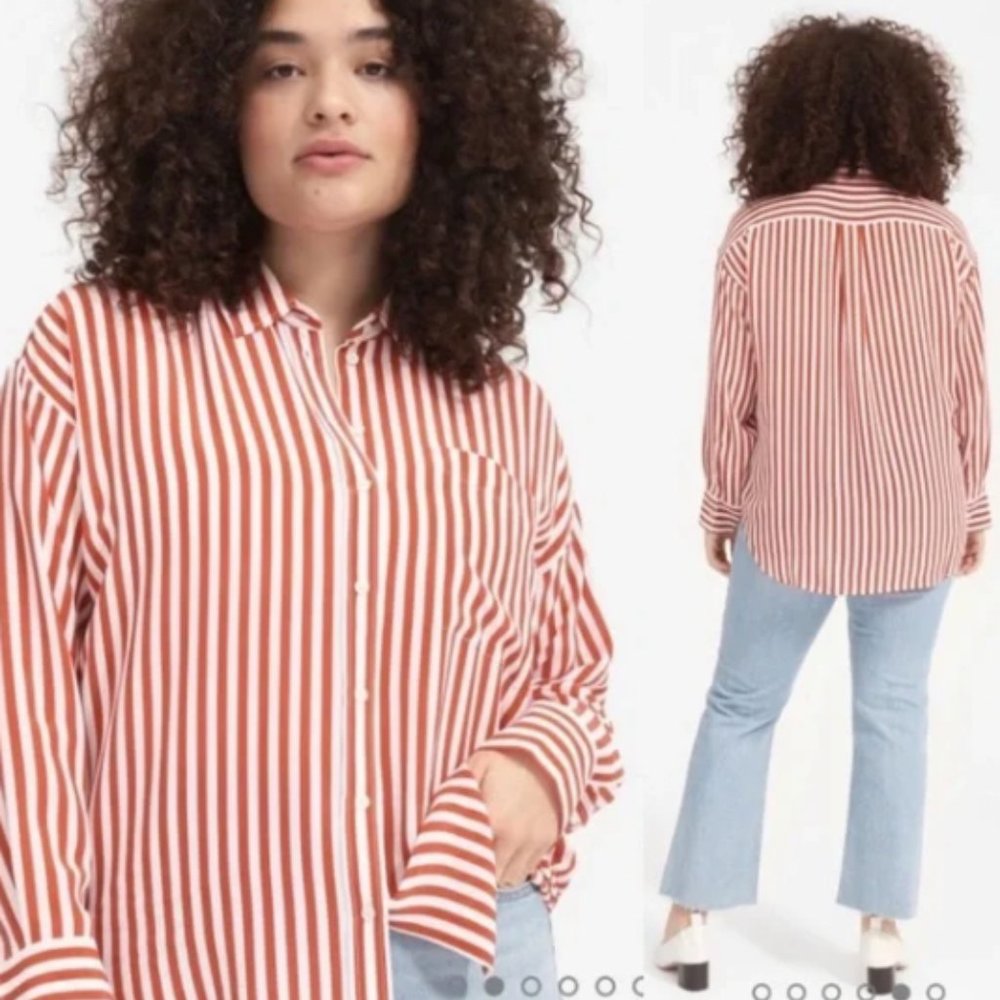 Everlane Womens Clean Silk Relaxed Shirt Striped Rust Burnt Orange Sz 2 LIKE NEW